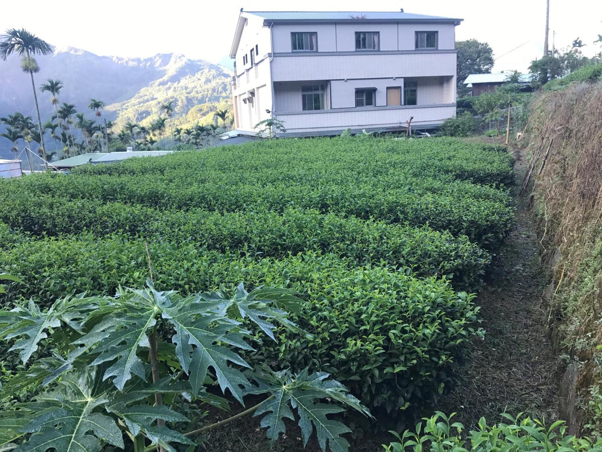 Appartamento De Ren Tea Gardens Meishan Esterno foto