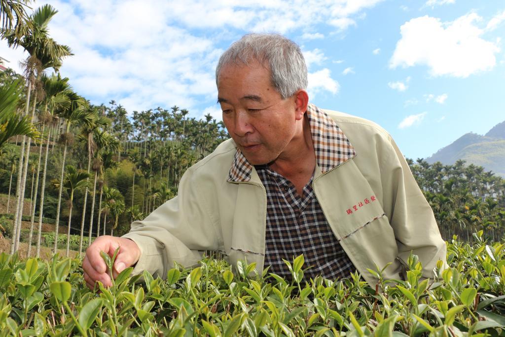 Appartamento De Ren Tea Gardens Meishan Esterno foto