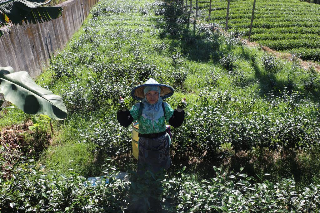 Appartamento De Ren Tea Gardens Meishan Esterno foto